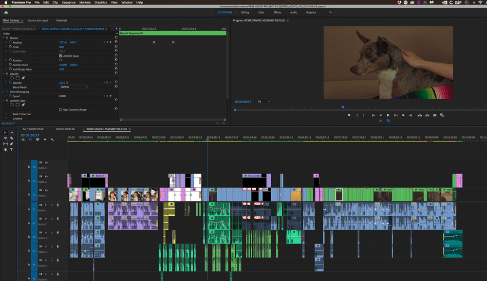 Post production in Premier Pro for The Sum of Our Parts